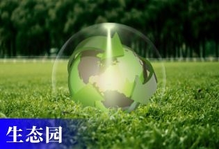 生态园票务系统