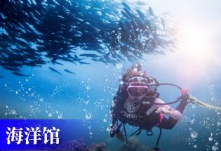海洋馆票务系统