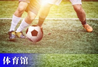 体育馆票务系统